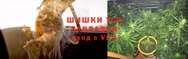 PSILOCYBIN Медвежьегорск