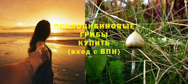 PSILOCYBIN Медвежьегорск