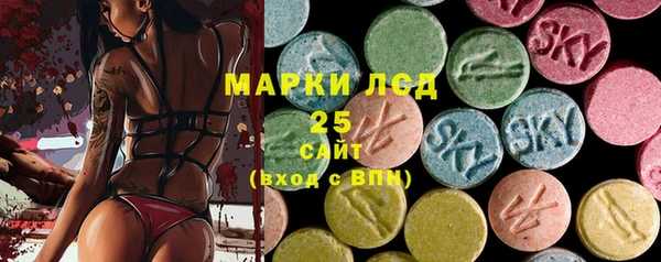 PSILOCYBIN Медвежьегорск