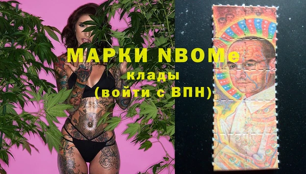 PSILOCYBIN Медвежьегорск